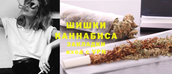 PSILOCYBIN Елизово