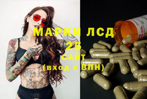 PSILOCYBIN Елизово