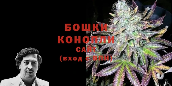 МДМА Ельня