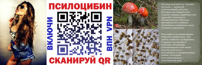 Купить где  Нея  Псилоцибиновые грибы ЛСД 